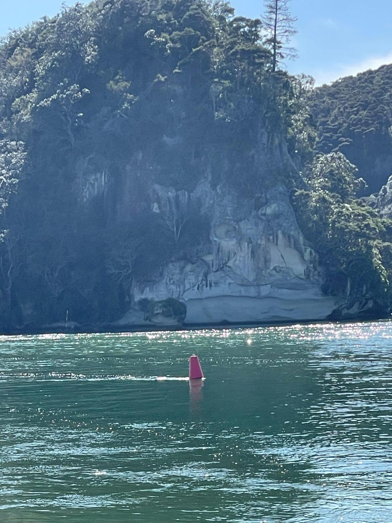 Vila Make Memories At Cook Drive Whitianga Exteriér fotografie